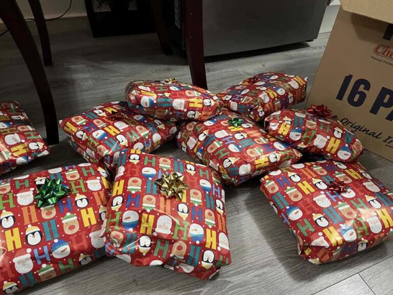 The Christmas Project (25)