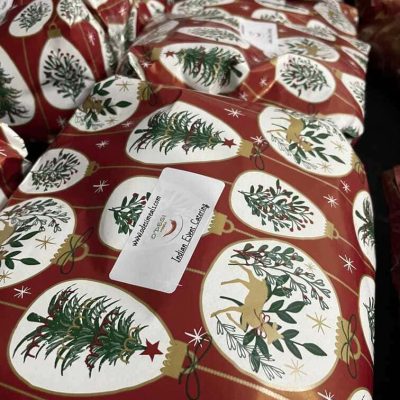 The Christmas Project (17)