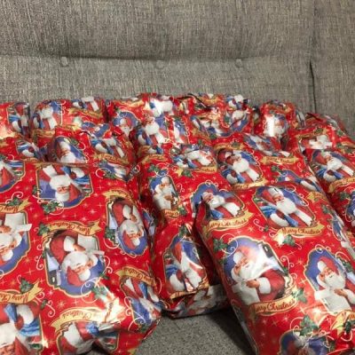 The Christmas Project (20)